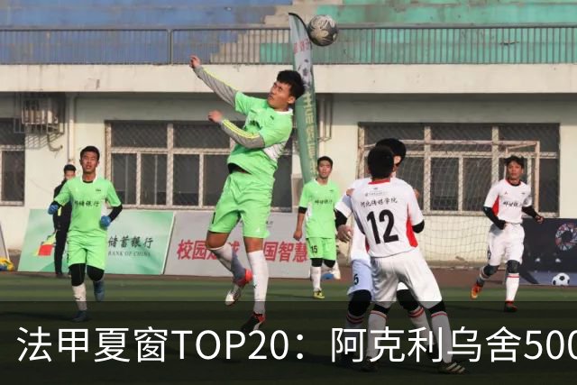 法甲夏窗TOP20：阿克利乌舍5000万欧成标王，费兰4850万欧第二